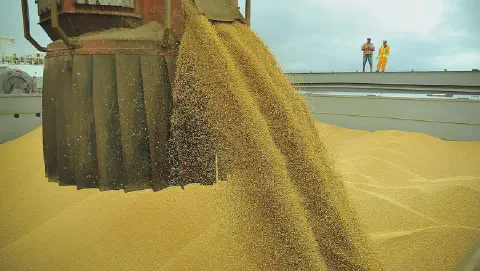 operação logística de grande escala no agronegócio, mostrando o carregamento de grãos, possivelmente soj