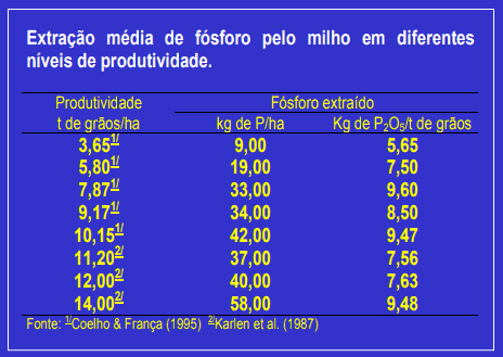tabela informativa com fundo azul e texto branco, intitulada ‘Extração média de fósforo pelo milho em