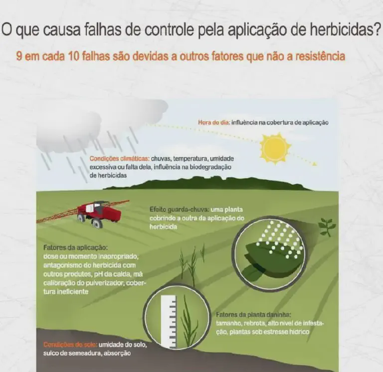 infográfico educativo que detalha as principais causas de falhas no controle de plantas daninhas pela aplicação