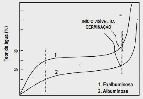 Este gráfico ilustra o padrão trifásico de absorção de água durante o processo de germinação de sementes, comparando dois tip