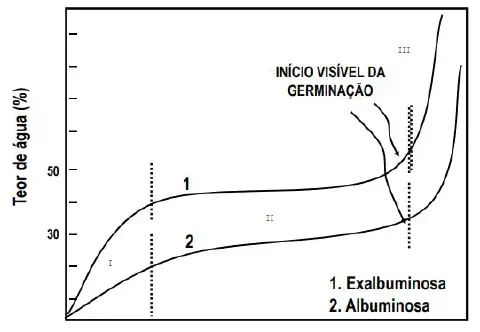Este gráfico ilustra o padrão trifásico de absorção de água durante o processo de germinação de sementes, comparando dois tip