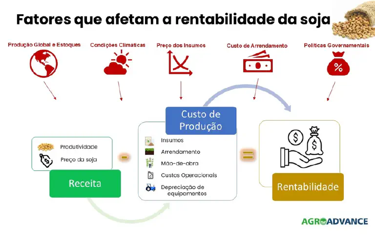 Fatores que Afetam a Rentabilidade da Soja: Guia Visual Este infográfico detalha os 'Fatores que afetam a rentabilidade da soja', ilustrando de forma clara e esquemática as variávei