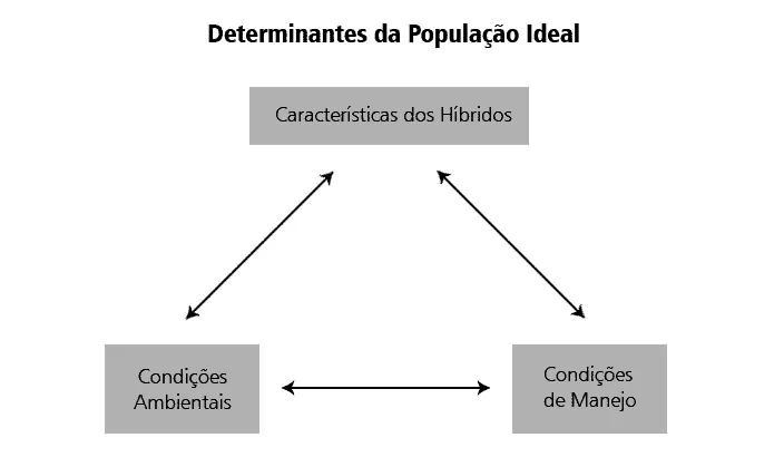 diagrama esquemático que ilustra os três principais fatores determinantes para se alcançar a população