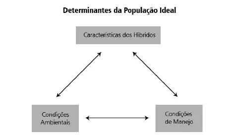 diagrama esquemático que ilustra os três principais fatores determinantes para se alcançar a população