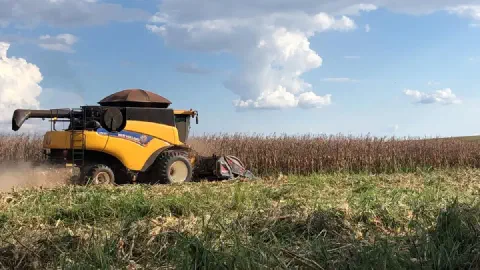 Colheitadeira amarela colhendo uma lavoura de milho seco sob céu azul com nuvens.