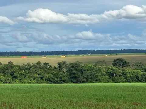 Lavoura verde em primeiro plano, uma faixa de mata ao centro e, ao fundo, máquinas trabalhando em uma área de grãos sob céu com nuvens.