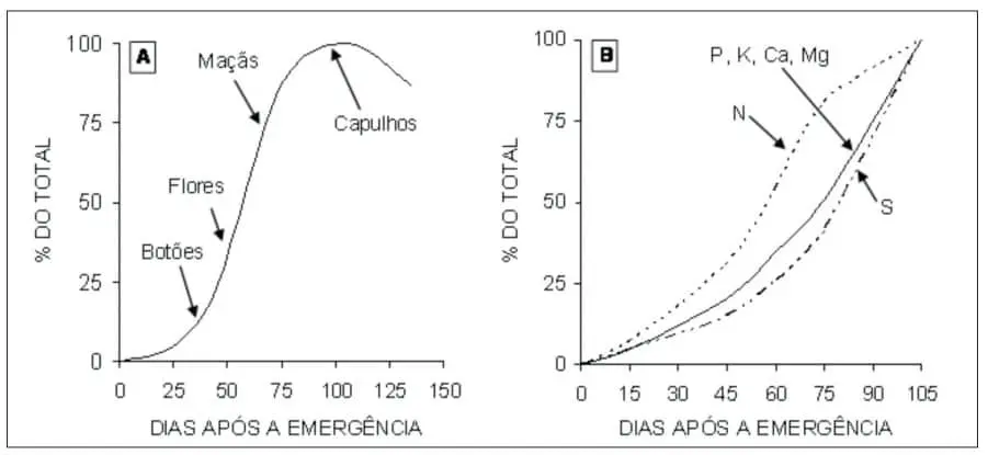 dois gráficos técnicos que correlacionam o desenvolvimento de uma lavoura, provavelmente de algodão, com o tem
