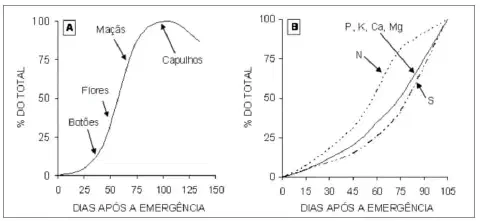 dois gráficos técnicos que correlacionam o desenvolvimento de uma lavoura, provavelmente de algodão, com o tem