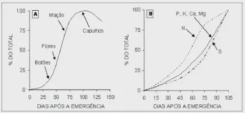 dois gráficos técnicos que correlacionam o desenvolvimento de uma lavoura, provavelmente de algodão, com o tem