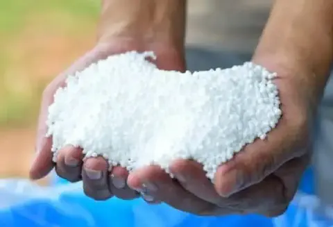 close-up das mãos de uma pessoa, possivelmente um agricultor ou agrônomo, segurando uma quantidade de ferti