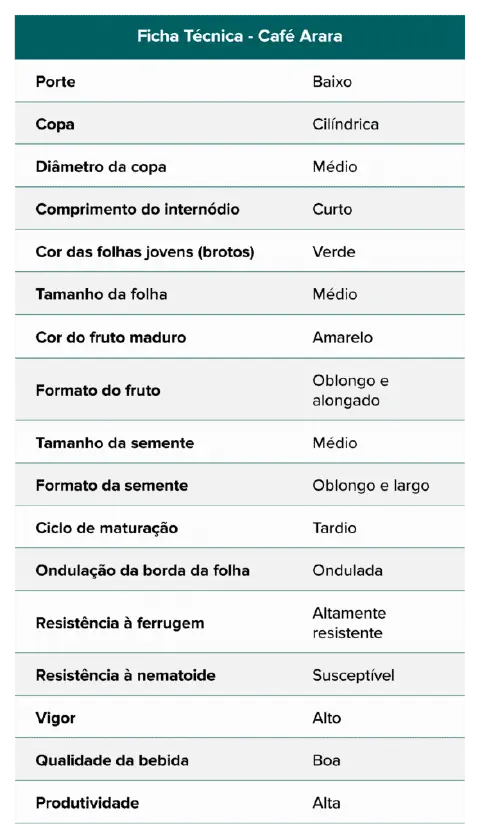 uma ficha técnica detalhada da variedade de café 'Arara'. Apresentada em formato de tabela com um cabeçalho ve