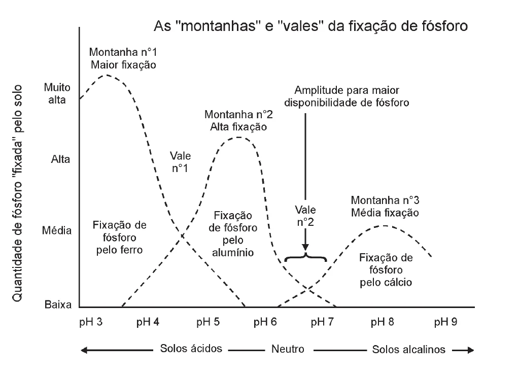 Fixação de Fósforo e pH do Solo: Entenda a Relação O gráfico, intitulado “As ‘montanhas’ e ‘vales’ da fixação de fósforo”, ilustra a complexa relação entre o pH do solo e a dis