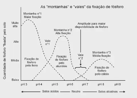 O gráfico, intitulado &amp;quot;As 'montanhas' e 'vales' da fixação de fósforo&amp;quot;, ilustra a complexa relação entre o pH do solo e a dis