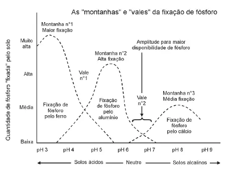 O gráfico, intitulado &amp;quot;As 'montanhas' e 'vales' da fixação de fósforo&amp;quot;, ilustra a complexa relação entre o pH do solo e a dis