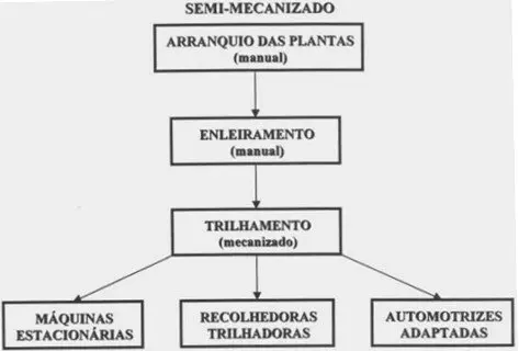 Fluxograma da Colheita Semi-Mecanizada na Agricultura fluxograma em preto e branco que detalha as etapas de um processo de colheita agrícola semi-mecanizado. O p