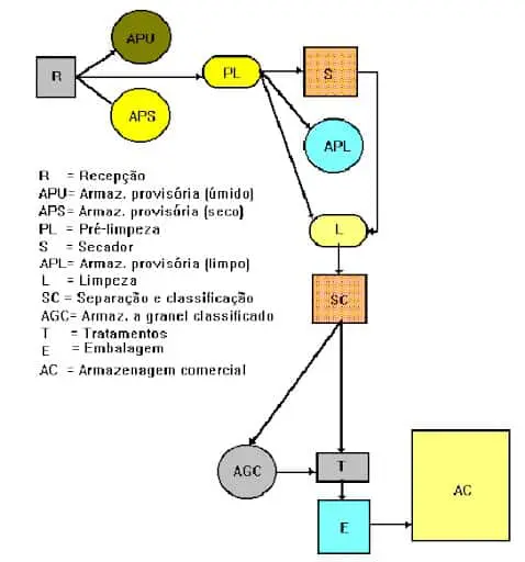 fluxograma detalhado que ilustra as etapas do processo de beneficiamento e armazenagem de grãos em uma unid