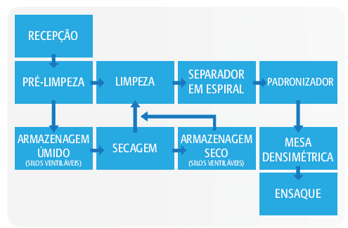 fluxograma detalhado do processo de beneficiamento de sementes ou grãos. O fluxo começa com a ‘Recepção’ da