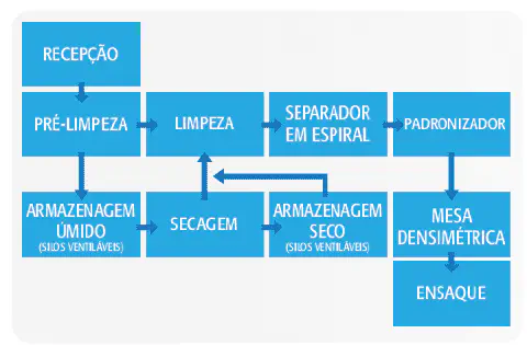 fluxograma detalhado do processo de beneficiamento de sementes ou grãos. O fluxo começa com a 'Recepção' da