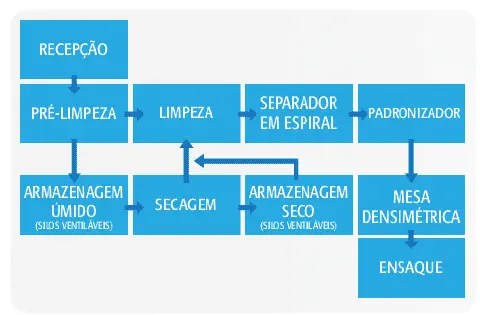 fluxograma detalhado do processo de beneficiamento de sementes ou grãos. O fluxo começa com a 'Recepção' da