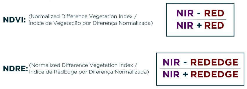 A imagem apresenta de forma clara e didática as fórmulas matemáticas para o cálculo de dois importantes índices de vegetação