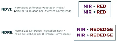 A imagem apresenta de forma clara e didática as fórmulas matemáticas para o cálculo de dois importantes índices de vegetação