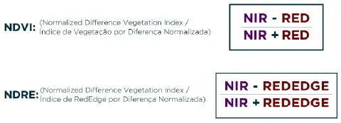 A imagem apresenta de forma clara e didática as fórmulas matemáticas para o cálculo de dois importantes índices de vegetação