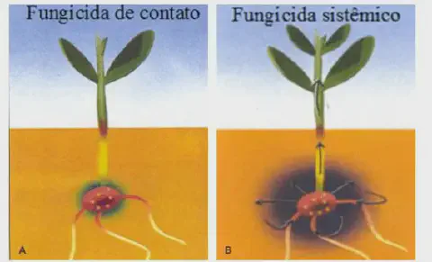 infográfico comparativo que ilustra a diferença no modo de ação entre um fungicida de contato e um fungicida si