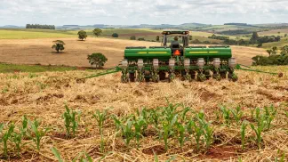 Miniatura do artigo de Gestão Agrícola: Plantio Direto: Como Corrigir o Solo e Evitar Perdas [2025]