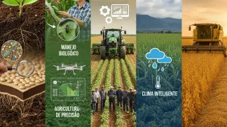 Miniatura do artigo de Gestão Agrícola: 7 Fatores Essenciais para Aumentar a Produtividade Agrícola na sua Fazenda
