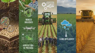 Miniatura do artigo de Gestão Agrícola: 7 Fatores Essenciais para Aumentar a Produtividade Agrícola na sua Fazenda