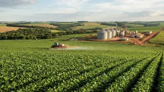 Miniatura do artigo de Gestão Agrícola: Processamento de Abacaxi: Guia Prático para Lucrar [2025]