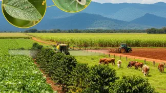 Miniatura do artigo de Manejo Integrado de Pragas: Ácaro-Rajado: Guia Completo para Identificação e Manejo na Lavoura