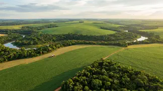 Miniatura do artigo de Gestão Agrícola: Adequação Ambiental e Agrícola: Guia para sua Fazenda [2025]