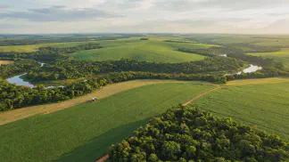 Miniatura do artigo de Gestão Agrícola: Adequação Ambiental e Agrícola: Guia para sua Fazenda [2025]