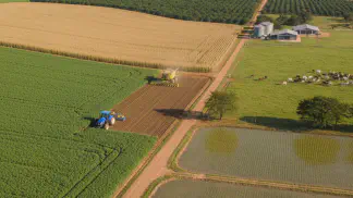 Miniatura do artigo de Historias de Sucesso: Administração de Fazendas: Controle de Custos e Aumento de Lucratividade