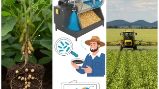 Miniatura do artigo de Gestão Agrícola: Adubação de Soja: O Guia Prático para Evitar Erros e Aumentar a Produtividade