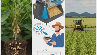 Miniatura do artigo de Gestão Agrícola: Adubação de Soja: O Guia Prático para Evitar Erros e Aumentar a Produtividade