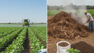 Miniatura do artigo de Gestão Agrícola: Adubação: O Guia Completo para Nutrir sua Lavoura e Aumentar a Produtividade