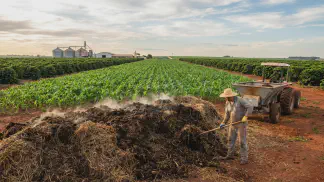 Miniatura do artigo de Gestão Agrícola: Adubação Orgânica e Biológica: Guia para Economizar [2025]