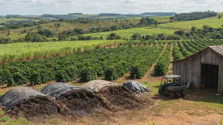 Miniatura do artigo de Gestão Agrícola: Adubação Orgânica de Hortaliças: 6 Passos na Prática [2025]
