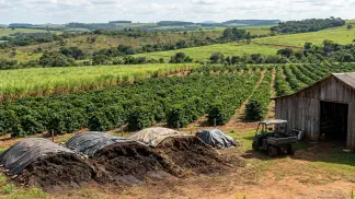 Miniatura do artigo de Gestão Agrícola: Adubação Orgânica de Hortaliças: 6 Passos na Prática [2025]