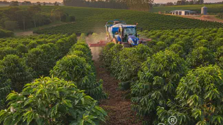 Miniatura do artigo de Gestão Agrícola: Adubação para Café: O Guia Completo para Maximizar sua Produção