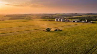 Miniatura do artigo de Gestão Agrícola: Adubação da Soja: Guia Prático de Alta Produtividade [2025]