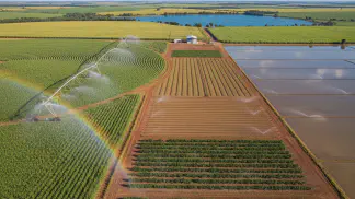 Miniatura do artigo de Gestão Agrícola: Agricultura Irrigada: O Guia Completo para Produzir Mais e Melhor