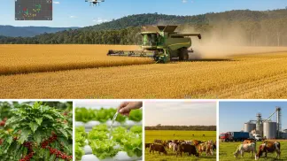 Miniatura do artigo de Gestão Agrícola: O Que É Agricultura: Tipos e Importância [2025]