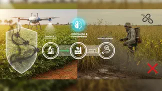 Miniatura do artigo de Manejo de Doencas: Agroquímicos: O que São, Para que Servem e a Importância do Uso Correto