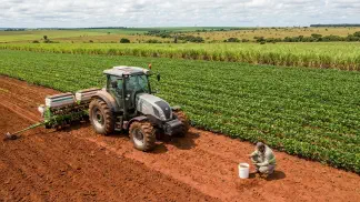 Miniatura do artigo de Gestão Agrícola: Algodão Esgota o Solo: Guia Definitivo de Manejo [2025]
