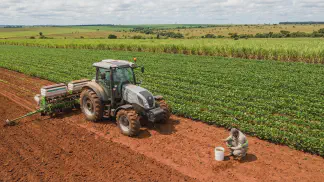 Miniatura do artigo de Gestão Agrícola: Algodão Esgota o Solo: Guia Definitivo de Manejo [2025]