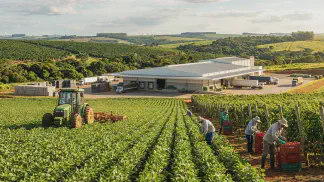 Miniatura do artigo de Gestão Agrícola: Alimento Seguro: Guia de Boas Práticas Agrícolas [2025]
