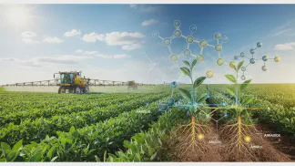 Miniatura do artigo de Gestão Agrícola: Aminoácidos nas Plantas: O Guia Completo para Aumentar a Produtividade